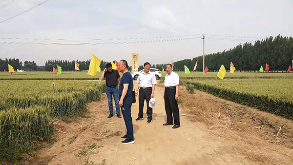 http://m.sdxyzy.cn/Item/Show.asp?m=2&d=1122