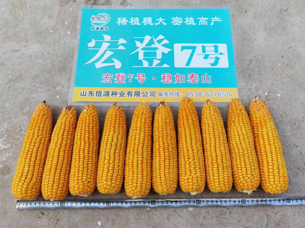 http://m.sdxyzy.cn/Item/Show.asp?m=2&d=1140