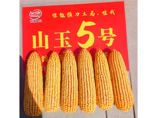 http://m.sdxyzy.cn/Item/Show.asp?m=2&d=1144