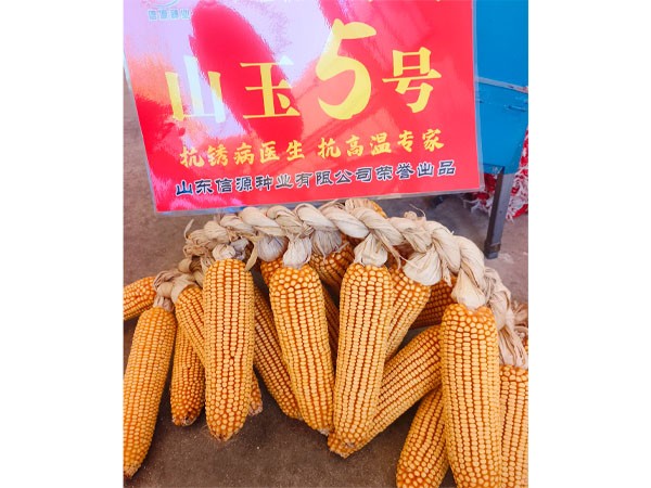 http://m.sdxyzy.cn/Item/Show.asp?m=2&d=1143